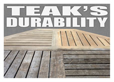 info-teak-durability